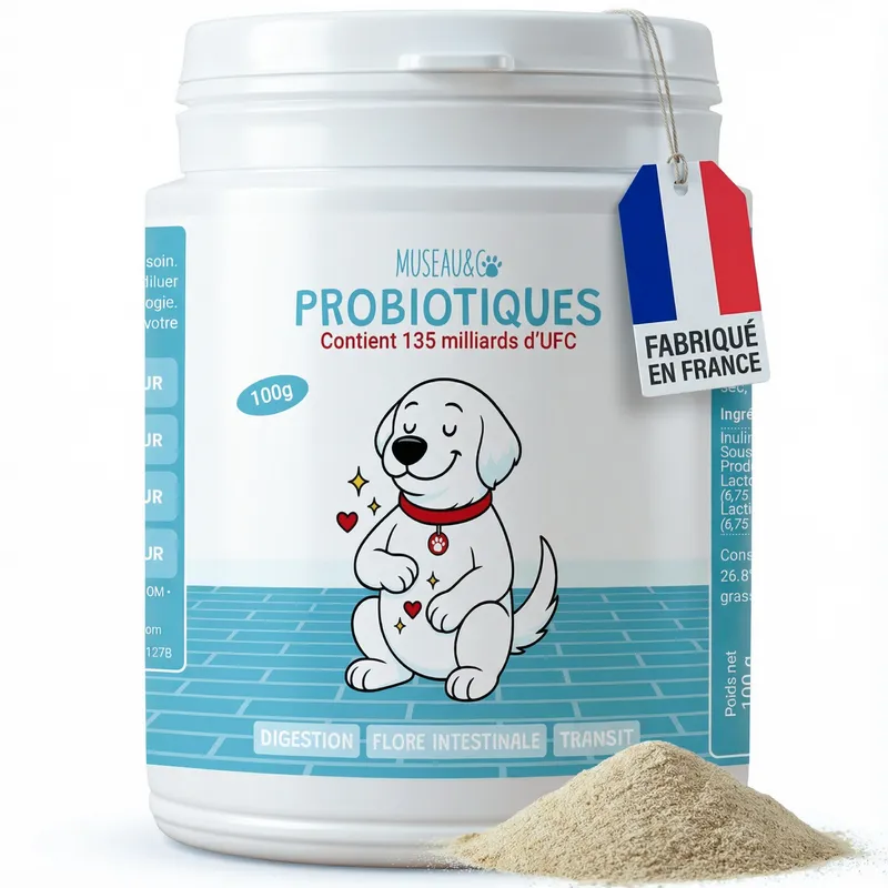 Probiotiques Museau & Co chiens