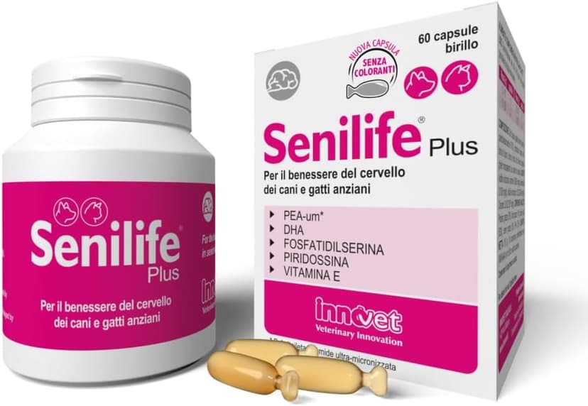 Senilife Plus complément chien âgé soutien cognitif